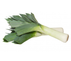 Лук порей