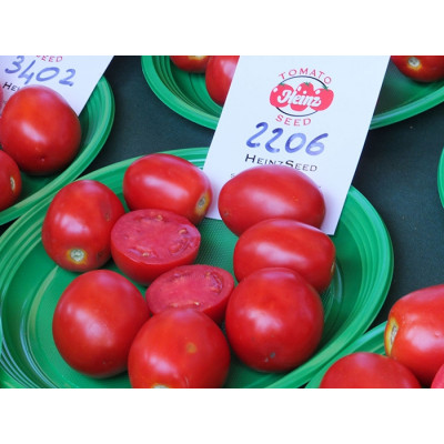 Семена томат хайнз 2206 f1 heinz 2206 f1 heinz Семена томат хайнз 2206 f1 heinz 2206 f1 heinz