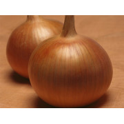 Лук Яровой БОНУС F1 BONUS F1 Takii Seeds