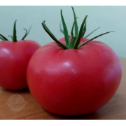 Томат ПИНК АГАТ F1 Unigen Seeds