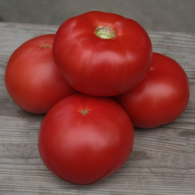 Семена томат зерси (кибо) f1 zersi (kibo) f1 kitano seeds Семена томат зерси (кибо) f1 zersi (kibo) f1 kitano seeds